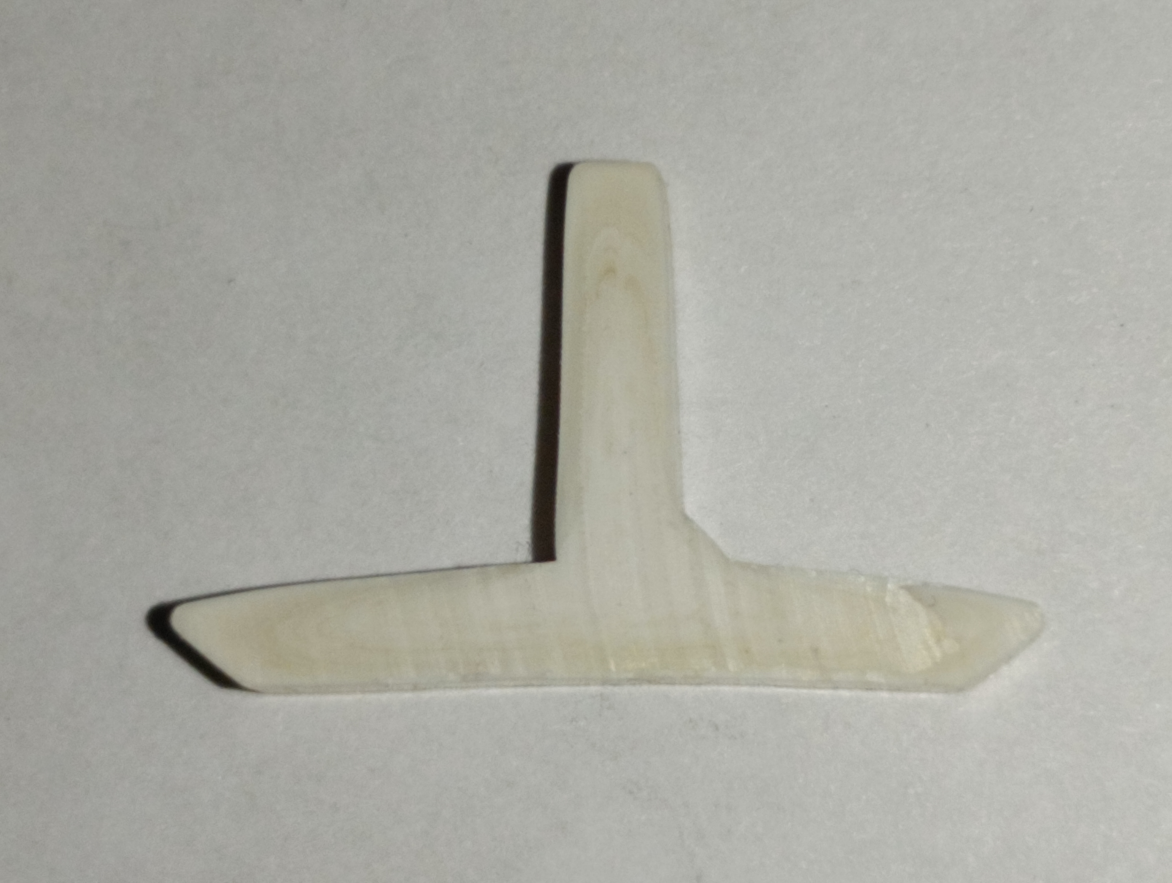 CTPI 1023